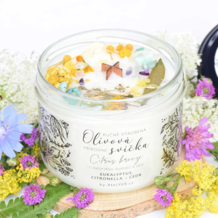 Přírodní olivová svíčka s dřevěným knotem Citrus breeze