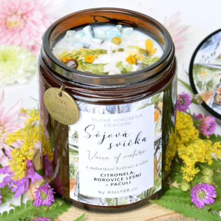 Přírodní sójová svíčka Voice of nature