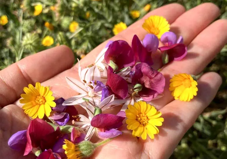 Přírodní svíčky AteLYER