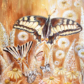 Autorský tisk Chrysalis, 30x40 cm, reprodukce